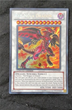 Red Nova Dragon, graded 8.5