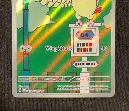 Pidgey, graded 9.5
