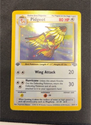 Pidgeot, graded 7.5