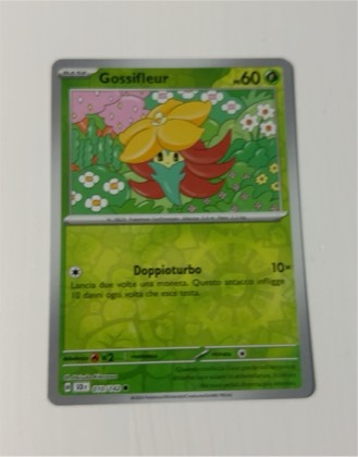 Gossifleur, graded 9.5