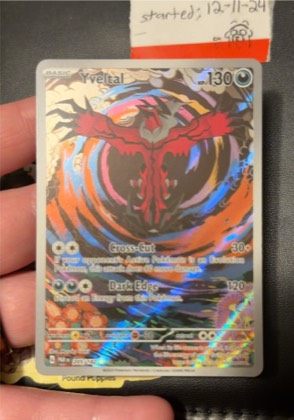 Yveltal, graded 9.5