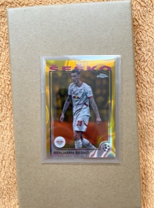 Benjamin Šeško, graded 9.0
