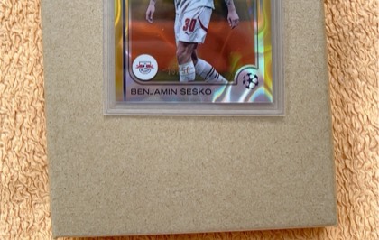 Benjamin Šeško, graded 9.0