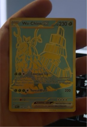 Wo-Chien EX, graded 9.8