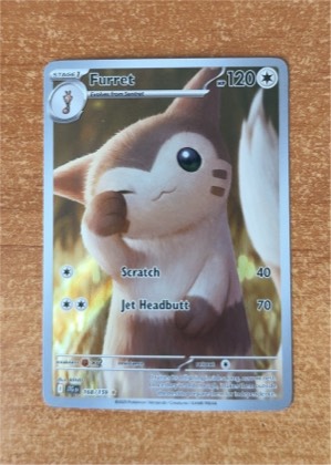 Furret, graded 9.0
