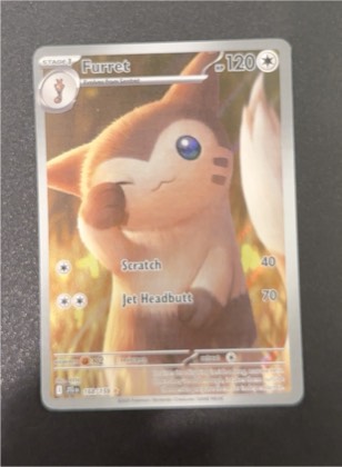 Furret, graded 8.5
