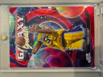 Robert Horry, graded 9.5