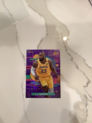 LeBron James, graded 9.5