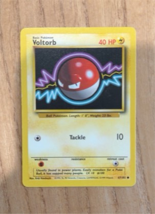 Voltorb, graded 7.5