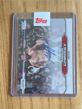 Khamzat Chimaev, graded 3.5