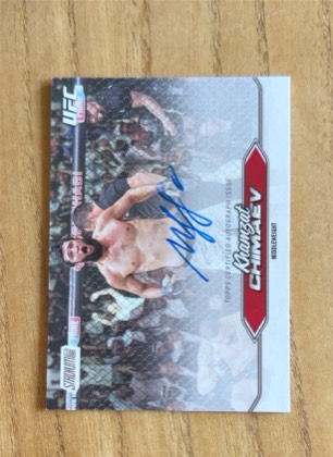 Khamzat Chimaev, graded 3.5