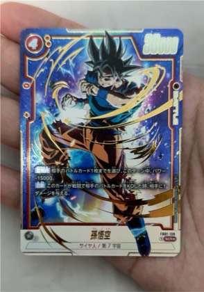Son Goku, graded 9.5