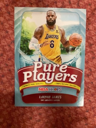 LeBron James, graded 9.0