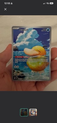Psyduck, graded 9.5