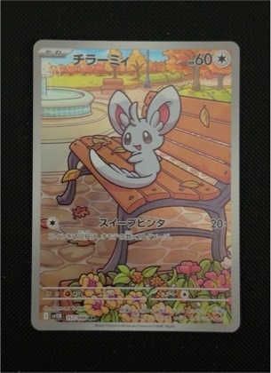 Minccino, graded 9.5