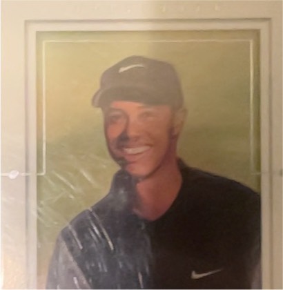 Tiger Woods, graded 9.0