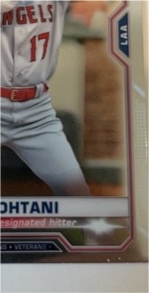 Shohei Ohtani, graded 9.5