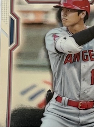 Shohei Ohtani, graded 9.5