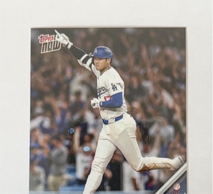 Shohei Ohtani, graded 9.5