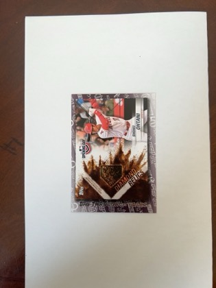 Shohei Ohtani, graded 9.5