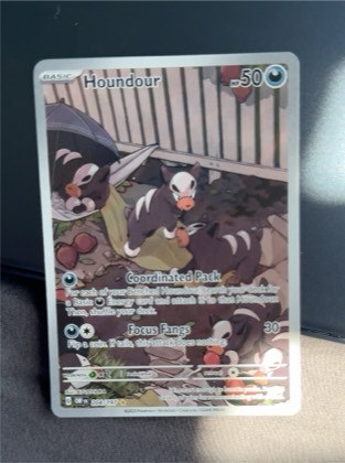 Houndour, graded 9.0