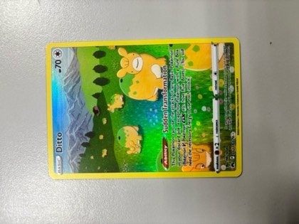 Ditto graded 9.5