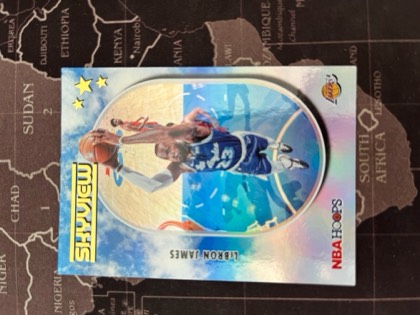 LeBron James, graded 9.5