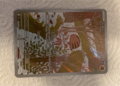 Swinub, graded 9.0