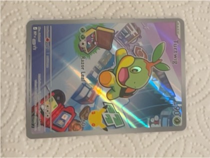 Turtwig, graded 9.5