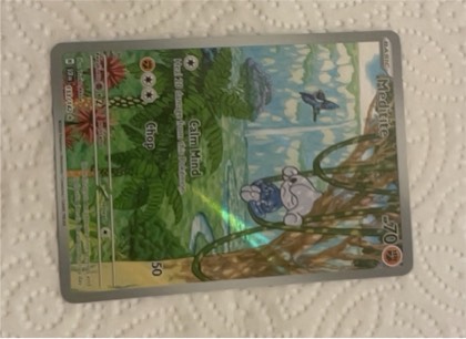 Meditite, graded 9.5
