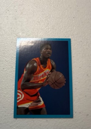 Dominique Wilkins, graded 8.5