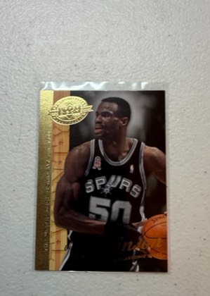 David Robinson, graded 8.5