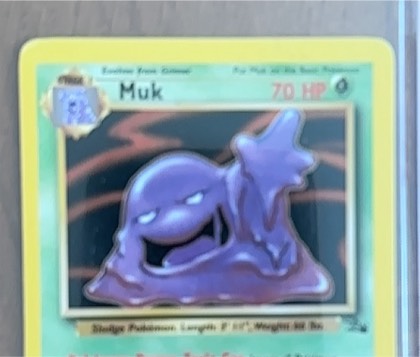Muk (13), graded 8.5