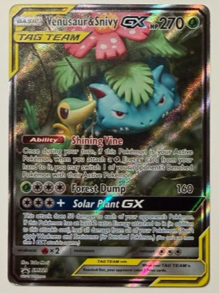 Venusaur & Snivy GX - SM229, graded 10.0