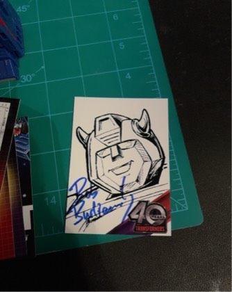 Bumblebee, graded 9.0