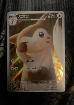 Furret, graded 9.5