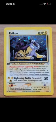 Raikou (13), graded 9.5