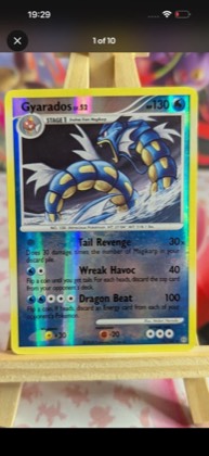 Gyarados, graded 9.5