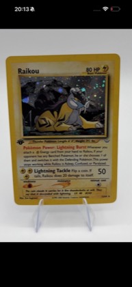 Raikou (13), graded 7.0