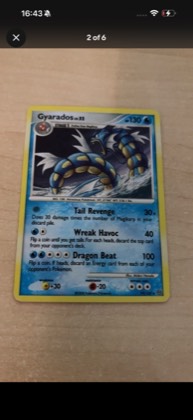 Gyarados, graded 8.0