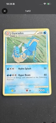 Gyarados, graded 9.5