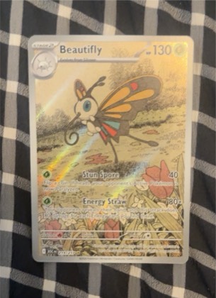 Beautifly, graded 2.5