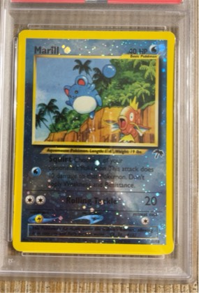 Marill, graded 6.5