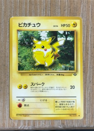Pikachu graded 6 & below