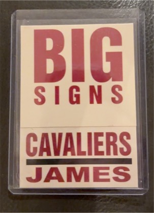 LeBron James, graded 9.5