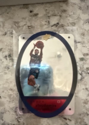 Damon Stoudamire, graded 8.0