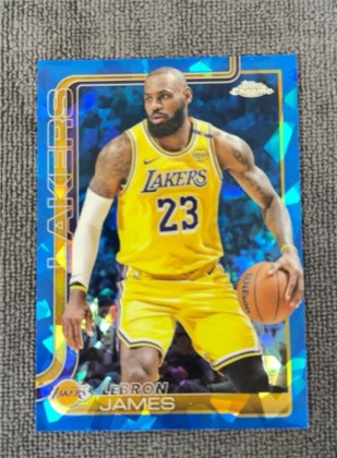 LeBron James, graded 9.5