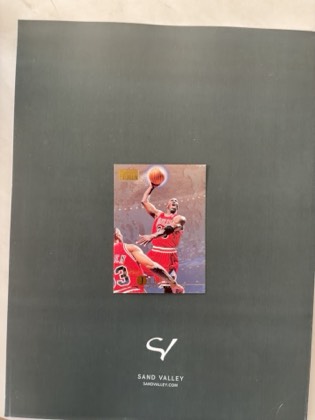 Michael Jordan, graded 8.0