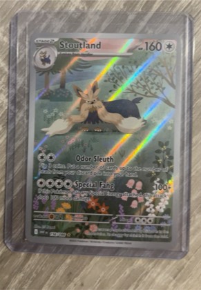 Stoutland, graded 9.5