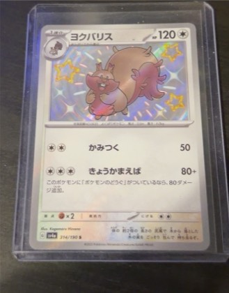 Arven's Greedent, graded 2.5
